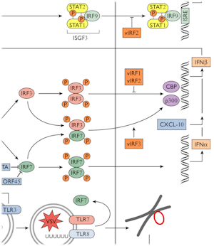 textbook illustration