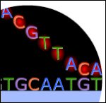 Microarray animation